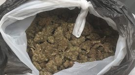 הסמים שנתפסו אצל הנהג בבדיקת המשטרה, צילום: דוברות המשטרה